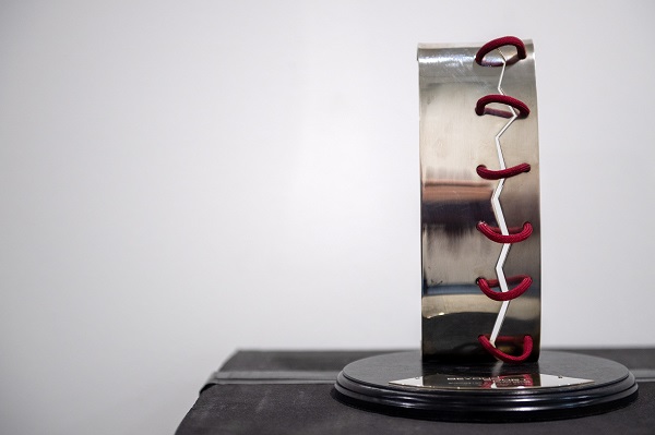 Engagement der DFL Stiftung genießt internationale Anerkennung