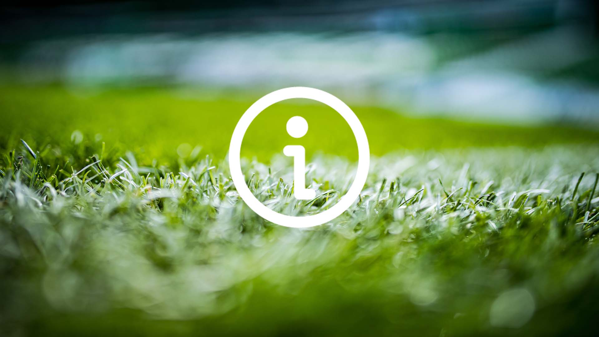 DFL Stiftung verschiebt Aktionsspieltag